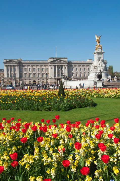 Buckingham Palace Aesthetic, Birmingham Palace, London Buckingham Palace, Rustic Gardening, Buckingham Palace Gardens, Buckingham Palace London, Photo London, Garden Decoration Ideas, Rule Britannia