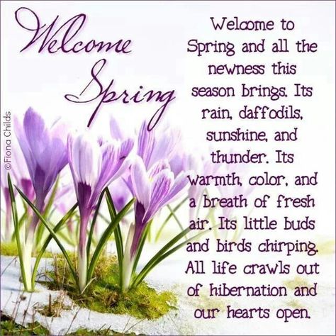 Welcome Spring! Happy First Day Of Spring Quotes, Happy Spring Day Quotes, Springtime Quotes, Seasonal Pictures, Happy Spring Day, October Quotes, Spring Scenery, Spring Cottage, Week Quotes