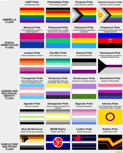 Here's a guide to pride flags! What Do All The Pride Flags Mean, Different Pride Flag Meanings, Pride Flags Sexuality, What Do Different Pride Flags Mean, Pride Flag Guide, Flag Meanings Pride, How To Make A Pride Flag, Lgbtqia+ Flags And Meanings, Pretty Pride Flags