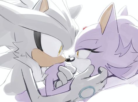 Sonamy Comic, Shadow And Amy, Expressions Photography, Sonic Heroes, Silver The Hedgehog, Sonic Funny, Sonic Franchise, Sonic Adventure, Hedgehog Art