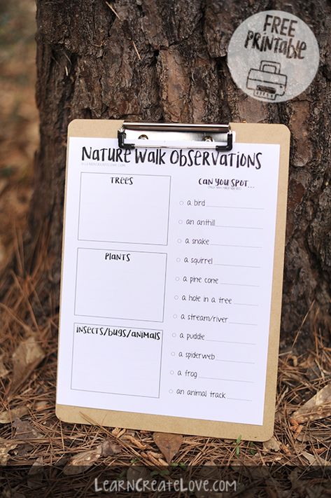 Nature Walk Activities, Nature Walk Scavenger Hunt, Homeschool Nature Study, Scavenger Hunt Printable, Forest School Activities, Nature Education, Nature School, Scavenger Hunt For Kids, Outdoor Education