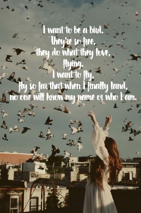 “I want to be a bird, they’re so free. They do what they love, flying. I want to fly, fly so far that when I land no one will know my name or who I am” This quote comes from someone who’s thoughts weren’t in the best place and I apologize for quoting this, but the words really moved me for I often feel this way. I Want To Fly Quotes, Free Like A Bird Quotes, Flying Bird Quotes, Fly Like A Bird Quotes Inspiration, Birds Flying In The Sky Quotes, Quotes About Birds Flying, Birds Quotes Flying, Free As A Bird Quotes, Free Bird Quotes