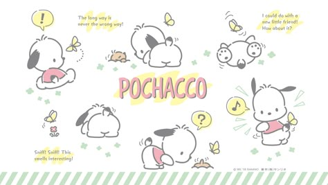 【1920×1080】201808 Sanrio Newsletter Mac Wallpaper Sanrio, Sanrio Computer Wallpapers, Sanrio Wallpaper Desktop Pochacco, Pc Sanrio Wallpaper, Desktop Sanrio Wallpaper, Pc Wallaper Sanrio, Sanrio Desktop Wallpaper Hd 1080p, Pochacco Laptop Wallpaper, Pochacco Desktop Wallpaper