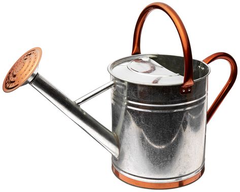 Gardman 8330 Galvanized Watering Can with Copper Accents,  1.9 Gallon // $23 Watering Cans, Copper Accents, Robust Design, Lawn And Garden, Watering Can, Garden Supplies, Galvanized Steel, Lawn Care, Lawn Garden