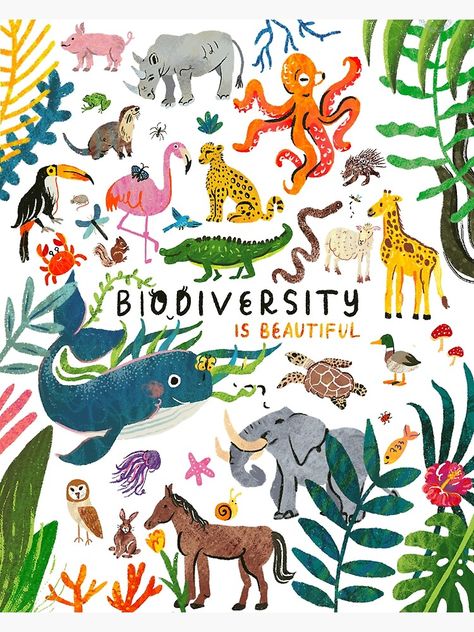 "Biodiversity is Beautiful" Poster by annakorol | Redbubble Biodiversity Project Ideas, Save Animals Poster, Diversity Poster, Earth Day Drawing, Biodiversity Conservation, Creative Book Covers, Instagram Projects, Only Aesthetic, Animal Conservation