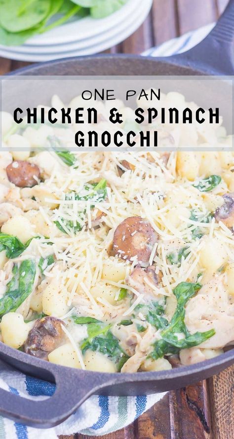 This One Pan Chicken and Spinach Gnocchi is perfect for an easy weeknight meal. Tender gnocchi is paired with shredded chicken, mushrooms and fresh spinach, and then tossed in a light parmesan cream sauce. Simple to make and full of flavor, this comforting dish will be a favorite all year long! #gnocchi #onepanrecipe #onepandish #onepangnocchi #chicken #chickenrecipe #spinach #chickengnocchi #chickenspinach #dinner #easydinner Spinach Gnocchi, How To Cook Gnocchi, Chicken Mushrooms, Parmesan Cream Sauce, Chicken Spinach, One Pan Chicken, Chicken And Spinach, Easy One Pot Meals, Superfood Recipes