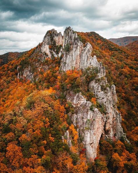 Seneca Rocks, Virginia Homes, Virginia Usa, All I Ever Wanted, Autumn Scenery, Fall Pictures, Blue Ridge, Travel Bucket, Happy Thanksgiving