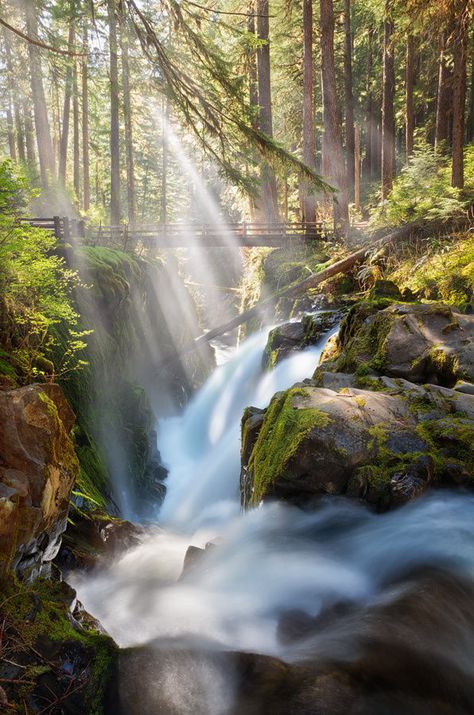 Sol Duc Falls by Michael  Breitung on 500px Nice Scenery, Oregon Photography, Fairy Queen, Olympic Peninsula, Water Falls, Olympic National Park, Beautiful Waterfalls, Nature Landscape, Landscape Photos