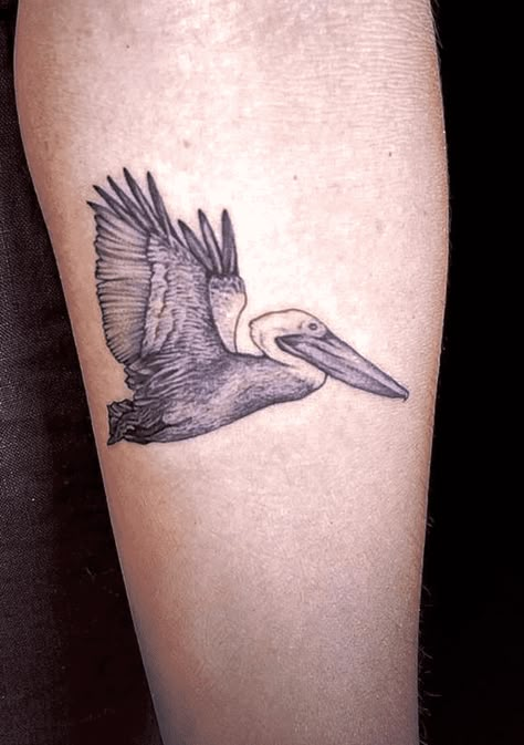 Pelican Tattoo Design Images (Pelican Ink Design Ideas) Pelican Tattoo Design, Beach Bird Tattoo, Brown Pelican Tattoo, Flying Pelican Tattoo, Pelican Tattoo For Women, Tommy Tattoo, Pelican Tattoo, Finding Myself Again, Patchwork Tattoos