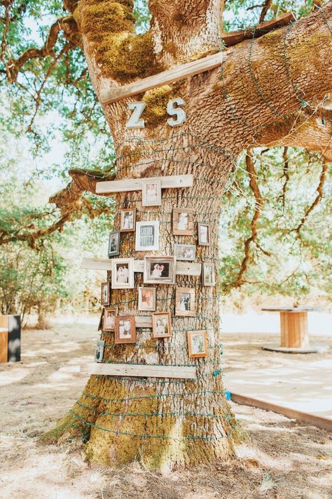 Tree For Wedding Ceremony, Wedding Family Tree, Family Tree Wedding, Tree Wedding Ceremony, Wedding Craft Ideas, Wedding Family Photos, Willow Tree Wedding, Oak Tree Wedding, Mum Wedding