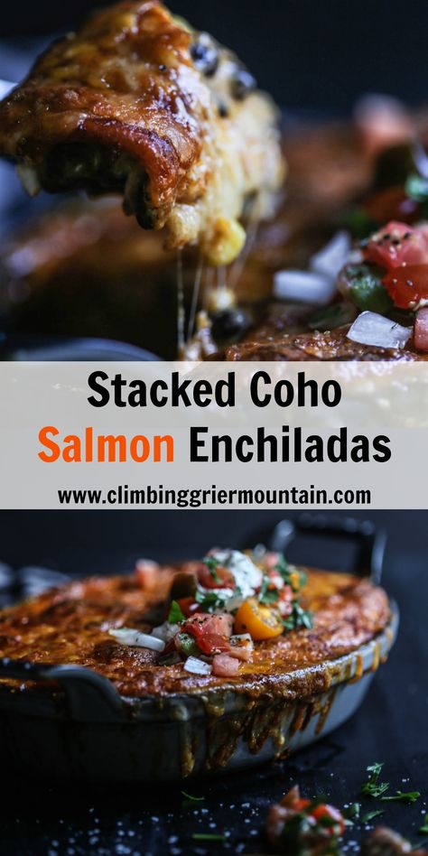 Stacked Coho Salmon Enchiladas - Climbing Grier Mountain Salmon Enchiladas, Fall Treats Recipes, Coho Salmon, Grilled Salmon Recipes, Tilapia Recipes, Red Enchilada Sauce, Cooking Salmon, Orange Recipes, Gifts For Coffee Lovers