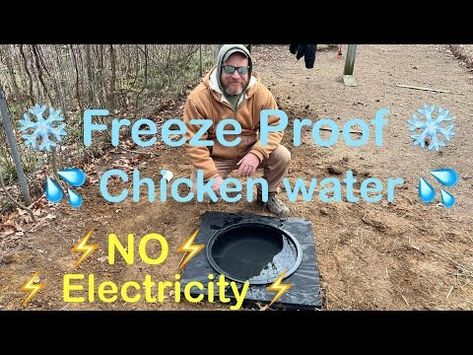 Solar Chicken Water Heater, Chicken Water Heater, Heated Chicken Waterer, Chicken Watering System, Duck Ponds, Rocket Heater, Chickens In The Winter, Chicken Waterer, Turmeric Vitamins