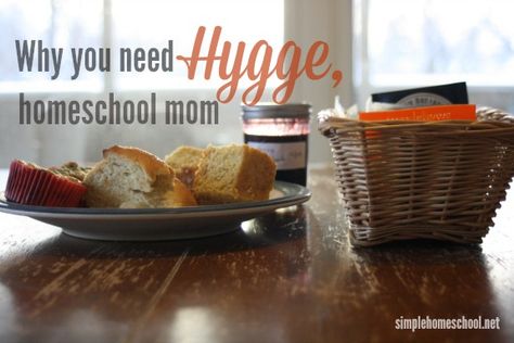 This is us!!!  The concept of hygge -- finding peace and comfort in the simple -- has brought Kara joy as a homeschooling mom.