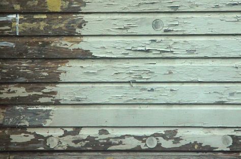 peeling paint due to moisture on wood siding on an old house Old Wood Siding, Stripping Paint From Wood, Wood Siding House, Old House Exterior, Wood Siding Exterior, Siding Repair, Best Exterior Paint, Types Of Siding, Stripping Paint