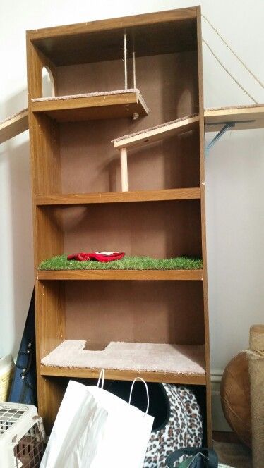 Cat Platform, Diy Cat Tower, Old Bookshelves, Simple Bookshelf, Cat Climber, Cool Cat Toys, Cat Climbing Tree, Spoiled Pets, Diy Cat Tree