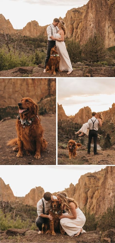 Dog Wedding Pictures, Elopement Checklist, Country Western Wedding, Sf Wedding, Oregon Elopement, Leave No Trace, Cabin Wedding, Photos With Dog, Colorado Elopement