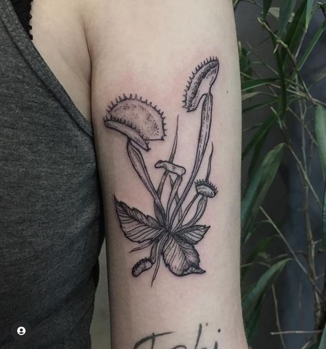 Venus Fly Trap Tattoo Simple, Venus Fly Trap Tattoos, Color Bug Tattoo, Venus Fly Trap Tattoo Black And White, Venus Fly Trap Drawing, Powerline Tattoo, Venus Flytrap Tattoo, 93 Tattoo, Fly Trap Tattoo