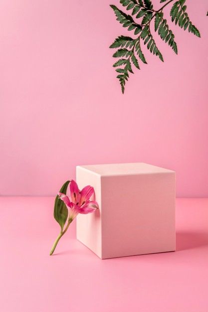 Fragrance Editorial, Leaves Wallpaper Iphone, Studio Backdrops Backgrounds, Jewelry Product Shots, Adobe Photoshop Design, Beauty Drawings, Green Cosmetics, Pink Perfume, Still Life Photos