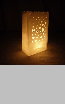 Light up your wedding ceremony, driveway, pool area, or endless event spaces with Luminary Bags and Paper Luminaries for a spellbinding effect. Luminary Bags Diy, Paper Luminaries, Paper Bag Lanterns, Luminary Bags, Path Lighting, Luminaries Bags, Candle Bags, Paper Candle, Snow Flake