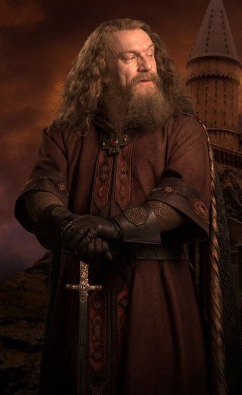 Godric Gryffindor (fl. c. 993) was an English wizard and one of the four founders of Hogwarts School of Witchcraft and Wizardry. He was great friends with Salazar Slytherin, but opposed him when he later thought that they should not accept Muggle-born students at Hogwarts. It is unknown when he died. In his honour Gryffindor's birthplace became known as Godric's Hollow. Godric Gryffindor's portrait still remains at Hogwarts. Godric Gryffindor, Harry Potter Portraits, Hogwarts Founders, Classe Harry Potter, Harry Potter Props, Imprimibles Harry Potter, Harry Potter Halloween Party, Harry Potter Quizzes, Harry Potter Printables