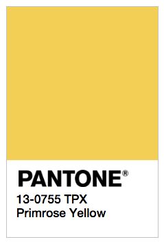 Pantone Primrose Yellow -- love this color as primary color in site and logo Pantone 2017, Yellow Pantone, Primrose Yellow, Colors For Spring, Mince Pies, Yellow Aesthetic, Color Inspo, Colour Board, Fast Track