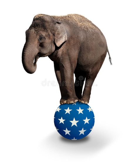 Balancing Elephant. Domesticated Asian Elephant balancing on a Circus ball. The , #AD, #Asian, #balancing, #Circus, #Balancing, #Elephant #ad Circus Ball, Circus Props, Steampunk Circus, Pediatric Pt, Alabama Logo, Halloween Circus, Circus Poster, Circus Elephant, Circus Animals