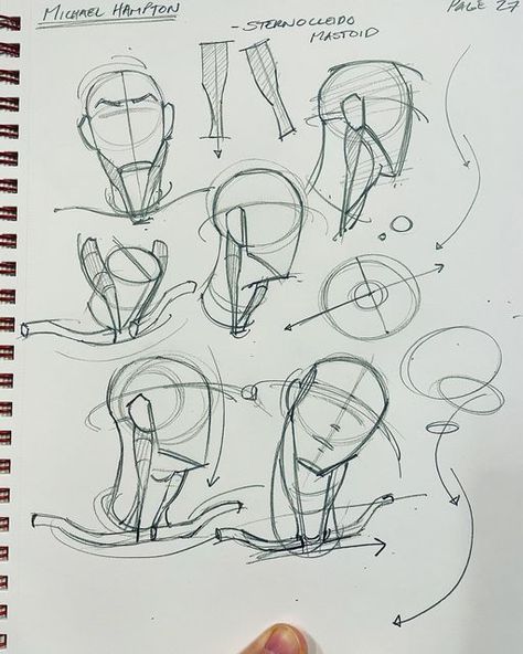 Head Shapes Sketch, Human Study Sketches, Face Gesture Drawing, Head Drawing Profile, Michael Hampton Gesture, Michael Hampton Figure Drawing, Michael Hampton Head, Drawing Anotamy, Art Study Drawing Reference