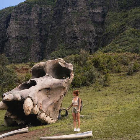 SPLORIN’ THE REAL JURASSIC PARK🦖⛰️{save for your next trip to Hawaii!} 📍Kualoa Ranch, Oahu, Hawaii ✨Here are the top tours you can take there: 🎬Movie Sites Tour: Visit iconic filming locations from Jurassic Park to Kong Skull Island. 🏎️ATV Raptor Tour: Ride through lush valleys and rugged terrain on an adventurous ATV expedition. 🦖Jurassic Jungle Expedition: Trek through dense forests and discover prehistoric landscapes. ⚓️Ocean Voyaging Experience: Embark on a catamaran voyage to explore ... Jungle Expedition, Kong Skull Island, Kualoa Ranch, Trip To Hawaii, Movie Sites, Skull Island, Oahu Hawaii, Filming Locations, Hawaii Travel