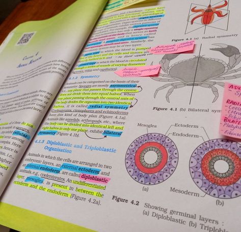 study motivation entrance exams Ncert Biology Class 11 Notes, Time Table For Neet Aspirants, Ncert Biology Class 11, Biology Tricks, Zoology Notes, Ncert Biology, Neet 2023, Biology Lover, Biochemistry Notes