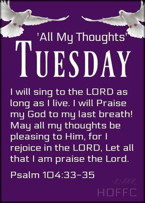 Morning Tuesday Quotes, Good Night Bible Verse, Good Morning Tuesday Quotes, Good Morning Scripture, Happy Tuesday Morning, Tuesday Quotes Good Morning, Hope Scripture, Morning Scripture, Tuesday Blessings