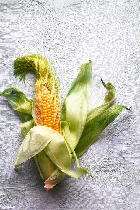 Corn Food, Breakfast Bowls Recipe, Kitchen Background, Vegetables Photography, Food Art Photography, Green Salsa, Corn Cob, Ginger Recipes, Fruit Illustration