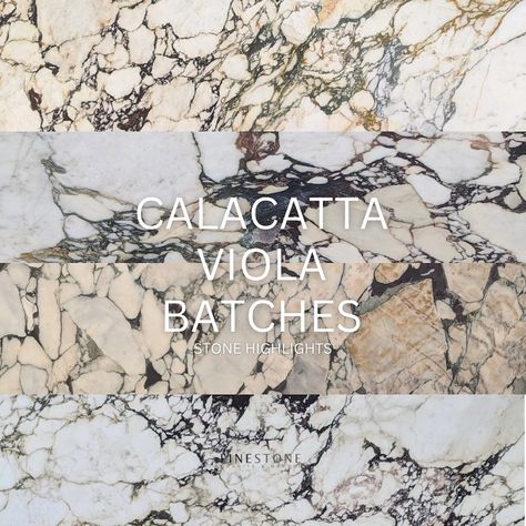 Calacatta Viola | Stone Highlights Calacatta Viola is one of the most luxurious, unique natural stones available with a high depend and great variation between batches, this natural beauty is beyond perfection. Currently 4 BATCHES in stock to view. Gold Coast Warehouse: BL4112, BL3983 & BL238497 Brisbane Showroom: BL4150 #violamarble #calacattaviola #calacattamarble #naturalstone #marbleinterior #interiordesign #luxuryinteriors #goldcoastinteriors #brisbaneinteriors #brisbaneint... Calcutta Viola Bathroom, Calcutta Viola Marble, Viola Calacatta, Calacatta Viola, Calacatta Viola Powder Room, Marble Calacatta Viola, Calacatta Viola Marble Texture, Marble Interior, Calacatta Marble