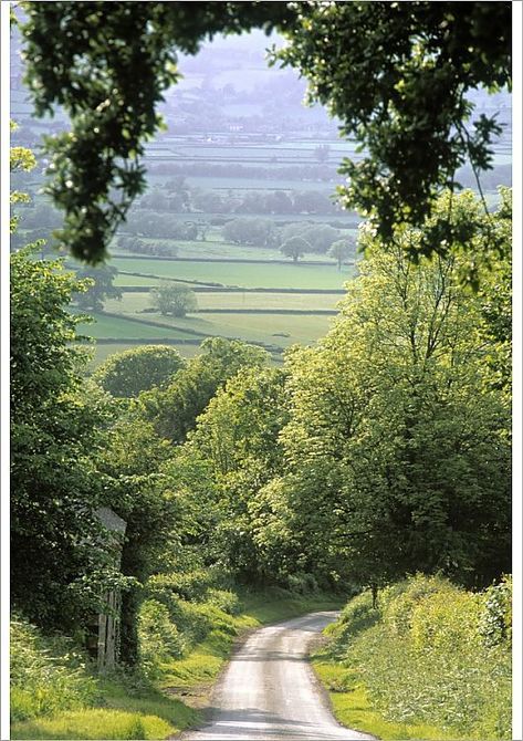 An A2 poster sized print, approx 16"x23" (420x594 mm). Shropshire, England. shropshire, uk02297. Image supplied by AWL Images Shropshire England, Peter Adams, England Countryside, Výtvarné Reference, British Countryside, Country Side, Dirt Road, Rolling Hills, Green Gables