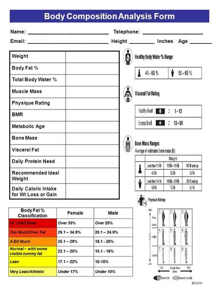 Body Composition Analysis Form> Fitness Assessment Form, 3 Month Workout Plan, Composition Template, Composition Worksheet, Body Composition Analysis, Fitness Assessment, Ace Fitness, Personal Training Business, Fitness Coaching