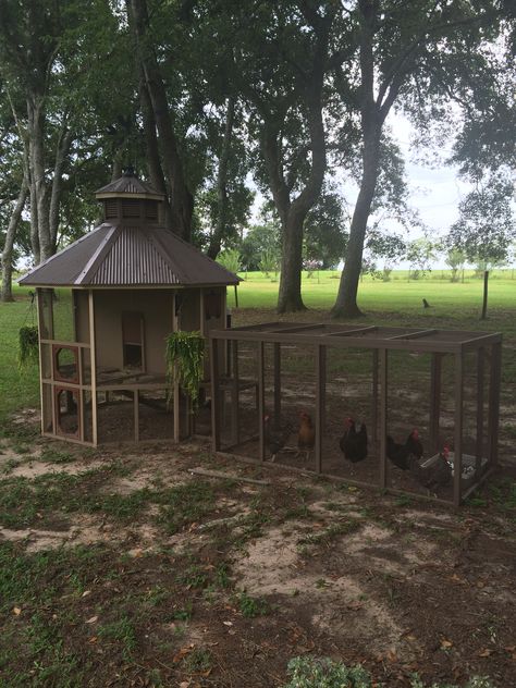 octagon chicken coop with four position run. Can move run to four different sides of coop Octagonal Chicken Coop, Gazebo Chicken Coop, Octagon Chicken Coop, Coop Color Ideas, Easy Chicken Coop Plans, Coop And Run Ideas, Chicken Coop And Run Ideas, Build Chicken Coop, Chicken Coop Interior