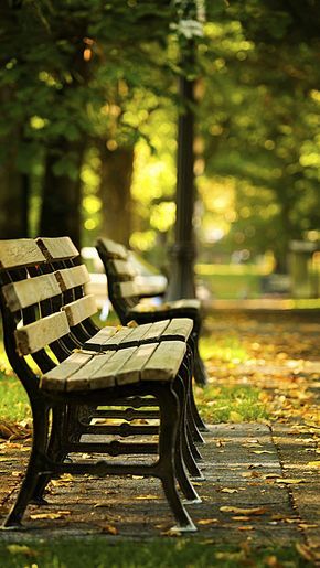 Small fresh creative background park wooden chairs h5 Background Park, Life Notes, Photoshop Digital Background, Blurred Background Photography, Photography Studio Background, Blur Background Photography, Desktop Background Pictures, Learn Photo Editing, Black Background Photography