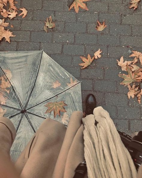 Buying Myself Flowers, Lifestyle Manifestation, Flowers And Coffee, Dome Umbrella, Wedding Umbrella, Clear Umbrella, Autumn Instagram, Happy Birthday Wallpaper, Umbrella Wedding