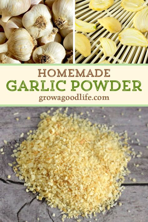 Make your own homemade garlic powder by dehydrating and grinding garlic cloves. Using garlic powder in your cooking is a quick way to add lots of flavor to a dish. It combines easily with the other dried herbs and spices to make a shelf-stable mix. Visit to see how to make homemade garlic powder. Diy Garlic Powder, Homemade Garlic Powder, Kitchen Magick, Preserving Recipes, Homemade Dry Mixes, Diy Mixes, Dry Mixes, Homemade Pantry, Spice Mix Recipes