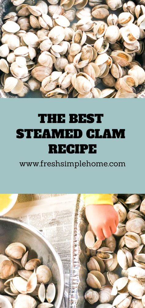 The best steamed clams you will ever eat! This easy recipe will have your friends and family ready to devour these beer steamed clams! The delicious garlic butter will have you coming back for more. Great for family gatherings and parties! How To Steam Clams On The Stove, Steam Clams Recipe, Clam Recipes Steamed, Steamers Recipe Clams, How To Steam Clams, Steam Clams, Clam Recipe, Steamed Clams Recipe, Clam Bake Party