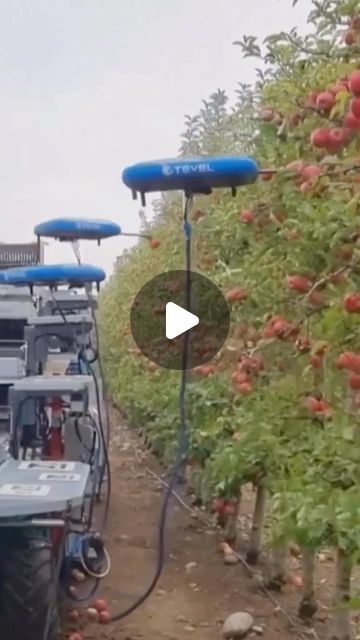 @AgricultureWorld©️ on Instagram: "Probably the best Tech Reel 2023 - A start up company Tevel Aerobotics have designed a drone for fruit picking . The flying robots use artificial intelligence to choose the mature apples to pick. . 🎥 by @canal.mutuo   . Tag someone who needs to see this !👇 Follow @agricultureworld for more.  . #startup #artificialintelligence  #fendt #apple #pick #farmlife #ai  #johndeere  #farm #robot #farming  #tractor  #country #field #agriculture  #agricultureworld  #land #instagram #instagood #instadaily #instalike #brazil #horse #drone #black #white #design #family #picture #pictureoftheday" Used Farm Tractors, Agriculture Drone, Smart Farm, Country Field, Farming System, Black White Design, Fruit Picking, Agriculture Tractor, A Start