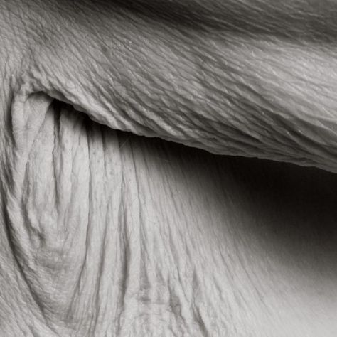 Surprisingly Emotive Photographs Capture 100-Year-Old Human Bodies Up Close Human Body Photography, Age Photography, Oldest Human, Future Photos, Body Photography, Close Up Photography, Close Up Portraits, A Level Art, Photo Series