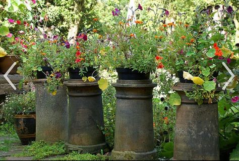 Chimney pot garden planters Chimney Pots Garden Ideas, Chimney Pot Planter Ideas, Chimney Pot Planter, Victorian Terrace Front Garden, Garden Dividers, Chimney Pots, Small Front Gardens, Plant Arrangements, Garden Therapy