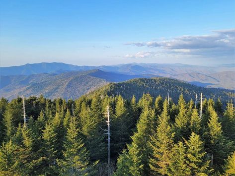 The Best Great Smoky Mountains Itinerary for 3 Days in the National Park — Harbors & Havens Laurel Falls, Greece Itinerary, East Coast Travel, Misty Mountains, Road To Hana, National Parks Map, Cades Cove, Waterfall Hikes, Gatlinburg Tn