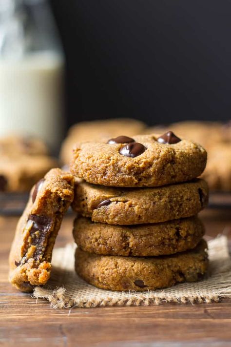 pumpkin-choc-chip-cookies-6 Paleo Pumpkin Chocolate Chip Cookies, Peanut Butter Honey Cookies, Paleo Pumpkin Recipes, Paleo Pumpkin Bread, Paleo Running Momma, Hazelnut Cookies, Paleo Cookies, Honey Cookies, Paleo Baking