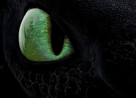 Httyd Fanfiction, Httyd Gif, Dragons Tumblr, Dragon Gif, Httyd Toothless, Dragon Aesthetic, Night Fury Dragon, Inheritance Cycle, Thunder Dragon