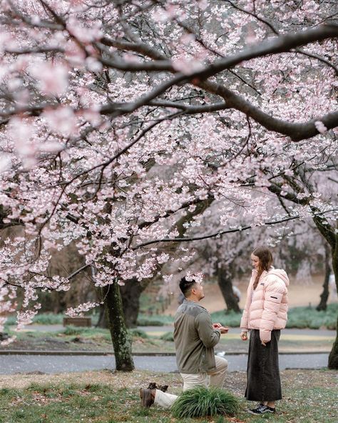 From a very rainy and windy morning back in March. Capturing the proposal for these two. The great thing about this weather is that we get the place almost for ourselves. The rain was actually very welcomed as it had a meaning for the couple. Congratulations T & M ☔️💍 Many couples flew to Tokyo for the cherry blossoms and we were expecting the full bloom around these dates but nature had other plans. Despite this we managed to make the best from what we got, a few trees blooming. . . ... Cherry Blossom Proposal, Cherry Blossom Couple, Cherry Blossom Wedding, Were Expecting, The Proposal, Wedding Proposals, Proposal Ideas, Cherry Blossoms, The Rain