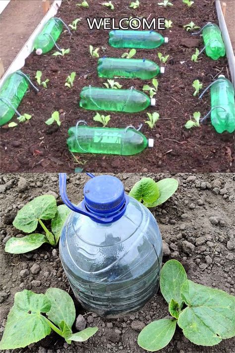 32 Best recycled plastic bottle ideas to reuse & make garden planters, self watering systems, upcycled crafts, DIY home decorations, etc! - A Piece of Rainbow, gardening, outdoor, summer, hanging planter, irrigation, sprinkler, kids activity, bird house, repurpose Plastic Bottle Ideas, Self Watering Bottle, Quotes Gardening, Plastic Bottle Greenhouse, Gardening Drawing, Gardening Wallpaper, Tools Tattoo, Gardener Aesthetic, Plastic Bottle Planter