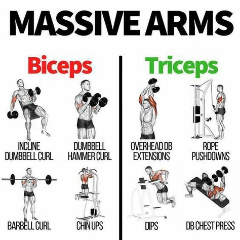 Bigger Biceps Workout, Tricep Workout Gym, Tricep Workout Women, Big Biceps Workout, Chest And Tricep Workout, Bigger Biceps, Back And Bicep Workout, Bicep And Tricep Workout, Chest Workout Routine