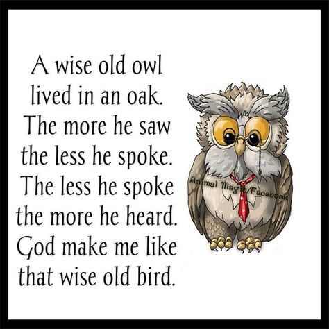 Wise Old Owl, Fun Sayings, Psalm 139, Wise Owl, Note To Self, Great Quotes, Owls, Wise Words, Psalms