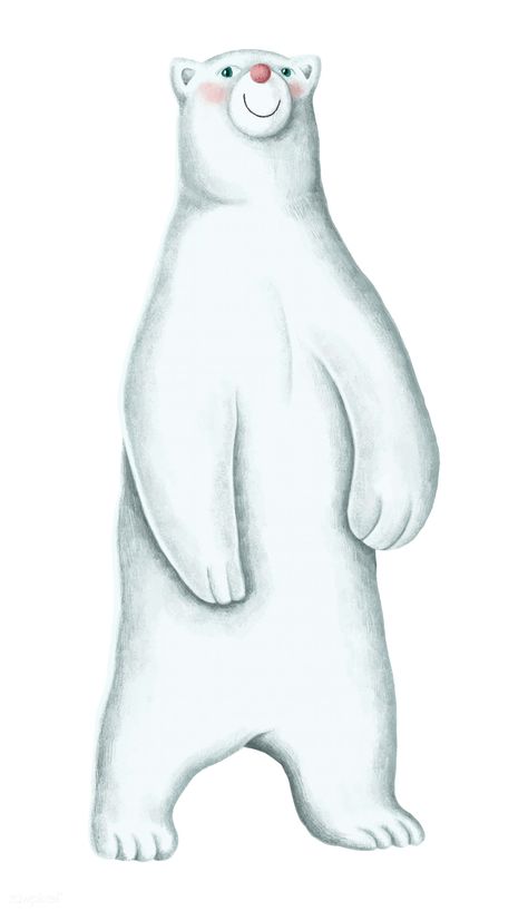 Hand-drawn standing white polar bear | free image by rawpixel.com / Noon Arctic Decorations, Polar Bear Outline, Polar Bear Funny, Polar Bear Wallpaper, Cartoon Polar Bear, Polar Bear Drawing, Animal Vector Illustration, Polar Bear Cartoon, Polar Bear Illustration